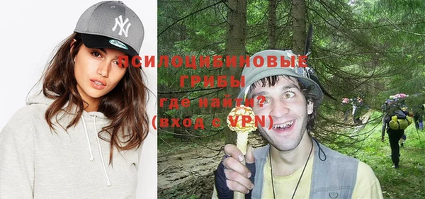 тгк Михайлов