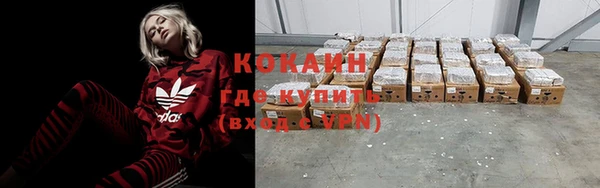 стафф Сосновый Бор