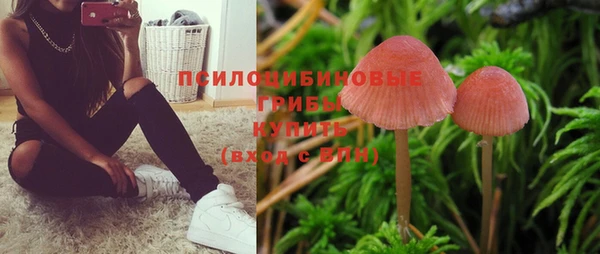MESCALINE Михайловск