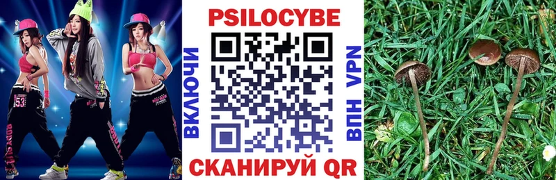 Псилоцибиновые грибы прущие грибы  Усолье 
